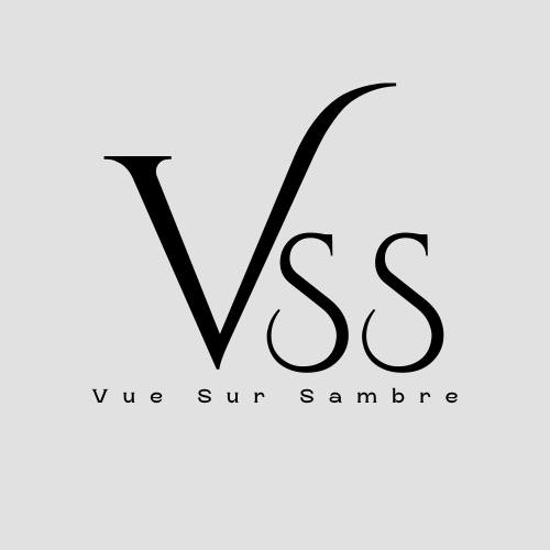 Logo Vue Sur Sambre